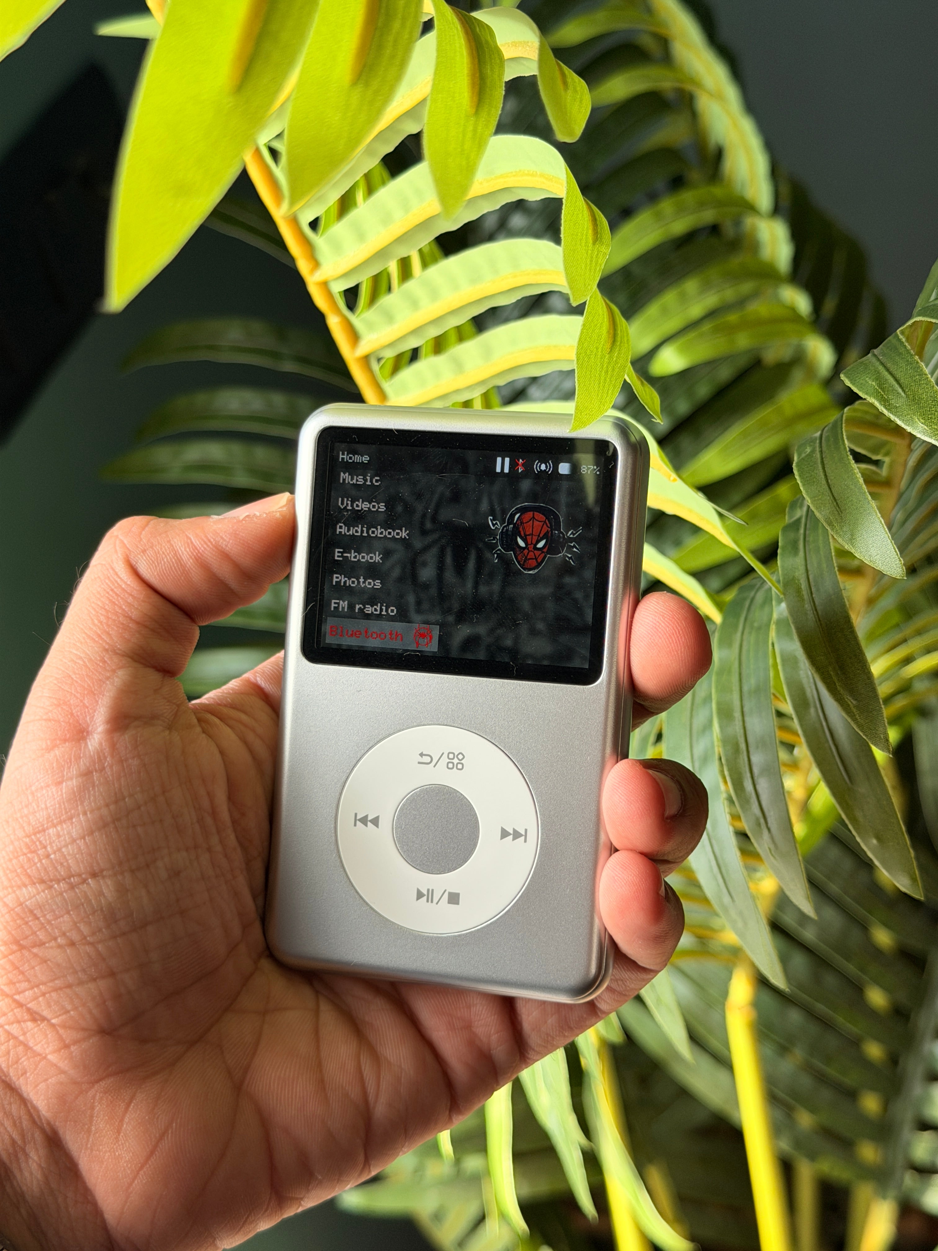 EchoPod : Premium mp4 Player with touch wheel