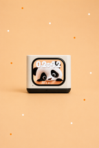 Echo Mind - Mini AI Speaker